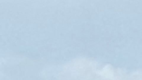 VIDEO: Pasajero de Southwest genera caos en aeropuerto de Nueva Orleans tras saltar por puerta de emergencia a la pista