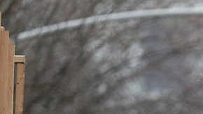 Accidente entre camión y autobús escolar deja al menos 3 muertos y 15 heridos en Ohio