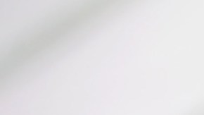 Bruce Willis, quien enfrenta un mal degenerativo, fue capturado en imágenes compartidas en redes sociales celebrando Thanksgiving Day´s en un emotivo encuentro familiar.