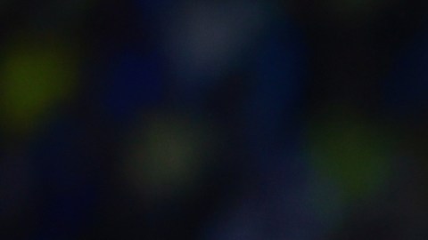 Carlos Salcedo fue recibido con abucheos.