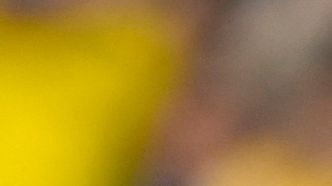 Enner Valencia es el actual capitán de la selección ecuatoriana