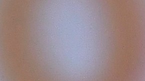 Mexicanas tendrán en 2024 más poder que nunca