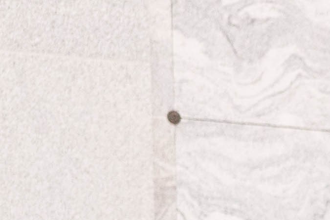 HOLLYWOOD, CALIFORNIA - SEPTEMBER 13: Las Cafeteras perform at the Día & Noche de los Muertos: Másacaras de México press event at Hollywood Forever on September 13, 2023 in Hollywood, California. (Photo by Emma McIntyre/Getty Images)