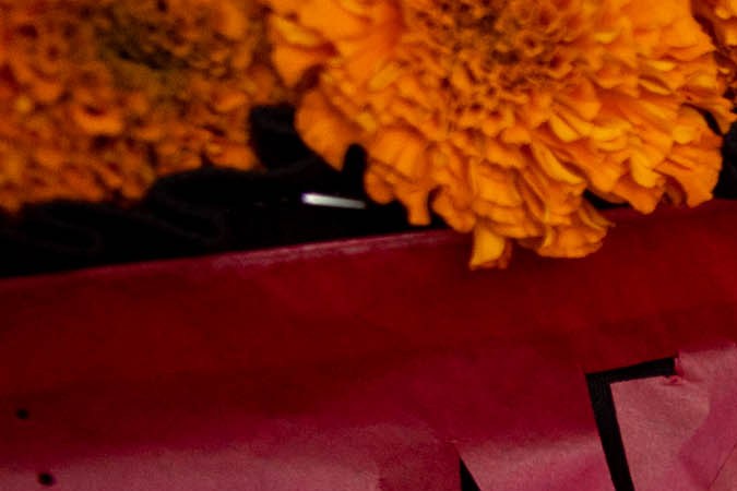 HOLLYWOOD, CALIFORNIA - SEPTEMBER 13: A view of a shrine at the Día & Noche de los Muertos: Másacaras de México Press event at Hollywood Forever on September 13, 2023 in Hollywood, California. (Photo by Emma McIntyre/Getty Images)