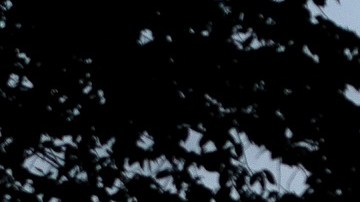 La Cámara de Representantes