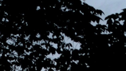 La Cámara de Representantes