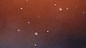 Carlos Vela y el LAFC enfrentarán a Héctor Herrera y el Hpuston Dynamo en la final de la Conferencia Oeste de la MLS.