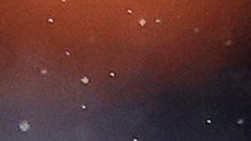 Carlos Vela y el LAFC enfrentarán a Héctor Herrera y el Hpuston Dynamo en la final de la Conferencia Oeste de la MLS.