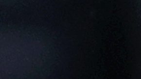 LAFC y Carlos Vela son los vigentes campeones de la MLS Cup.