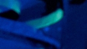 Peso Pluma y Nicki Nicole en Billboard Latin Music Awards 2023.