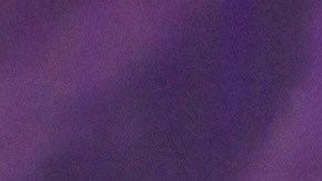 Bad Bunny ha experimentado desafíos inesperados en su carrera musical.