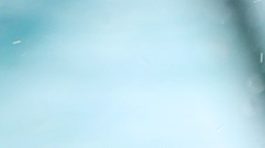 Test de inteligencia en perros: el labrador es el más trope