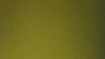 Neymar se lamenta durante un partido con la selección de Brasil.