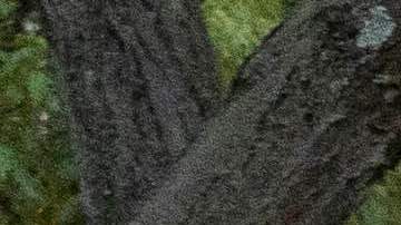 Liberan a sospechoso del asesinato de la presidenta de la sinagoga de Detroit