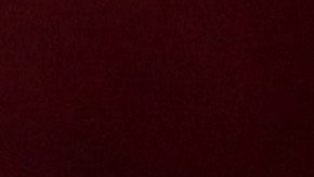 Bronny James se uniformó de USC Trojans en octubre para un evento de la universidad.