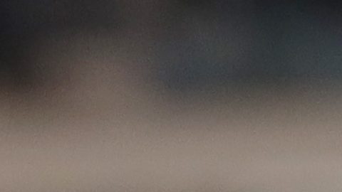 Johan Vásquez con el Genoa.