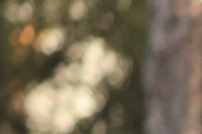 A woman walks the grounds in costume as revellers celebrate Dia De Los Muertos (Day of the Dead) at Hollywood Forever Cemetery in Los Angeles, California, on October 28, 2023. Every year on the last Saturday before November 2nd, Hollywood Forever Cemetery welcomes members of the community to celebrate Dia de Los Muertos, which reunites and honors beloved ancestors, family, and friends. (Photo by DAVID SWANSON / AFP) (Photo by DAVID SWANSON/AFP via Getty Images)