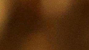 Harris presentó la documentación de la campaña de Biden para las primarias en Carolina del Sur.