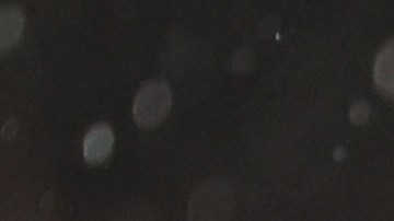 Anthony Taytor pitó un penal de manera incorrecta que le dio el triunfo a Newcastle.