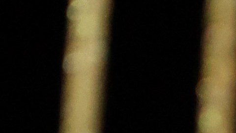 Lionel Messi ganó su octavo Balón de Oro