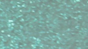 LOS ANGELES, CALIFORNIA - OCTOBER 30: Eugenio Derbez attends the premiere of "Radical" at Regency Bruin Theatre on October 30, 2023 in Los Angeles, California. (Photo by Amy Sussman/Getty Images)