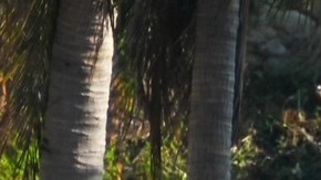 Sobrevivieron o murieron por Otis, pero no abandonaron los barcos