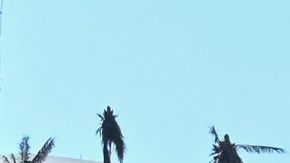 México anuncia "perdón" del cobro de impuestos a los afectados por el huracán "Otis" hasta febrero de 2024