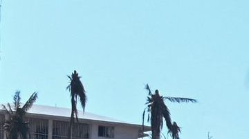 México anuncia "perdón" del cobro de impuestos a los afectados por el huracán "Otis" hasta febrero de 2024