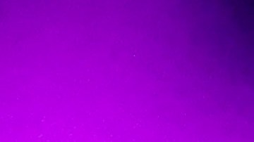 LeBron James y Kawhi Leonard bromean luego de que los Lakers se quitaron el yugo de los Clippers.