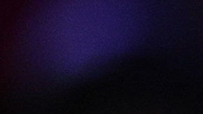 Kelly Oubre fue atropellado cerca de su casa.