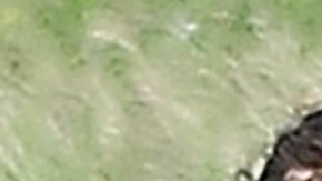 El padre de Luis Díaz fue trasladado a Valledupar.