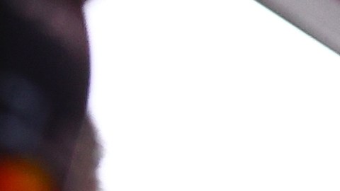 La escudería Red Bull, encabezada por Christian Horner, ha reiterado en varias ocasiones que cuentan con "Checo" Pérez para el 2024.