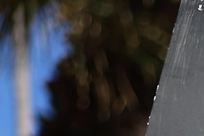 LOS ANGELES, CALIFORNIA - NOVEMBER 03: SAG-AFTRA member Caryn West (C) and other members and supporters picket outside Paramount Studios on day 113 of their strike against the Hollywood studios on November 3, 2023 in Los Angeles, California. Contract negotiations between the actors union and the Alliance of Motion Picture and Television Producers (AMPTP) are continuing in the strike which began on July 14. (Photo by Mario Tama/Getty Images)