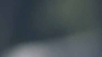 El jinete boricua Irad Ortiz Jr. reacciona tras ganar la Breeders' Cup 2023 montando a White Abarrio.