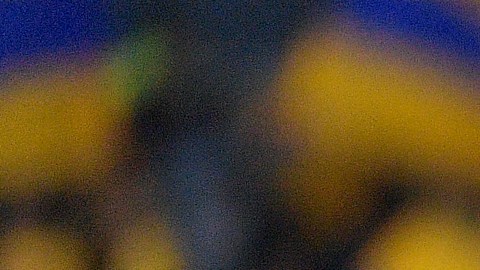André-Pierre Gignac se encuentra en su novena temporadas con los Tigres de la UANL en el fútbol mexicano.