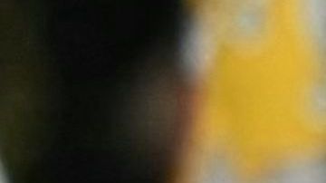 Biden depositó una ofrenda floral en la Tumba del Soldado Desconocido en el Cementerio Nacional de Arlington en el Día de los Veteranos.