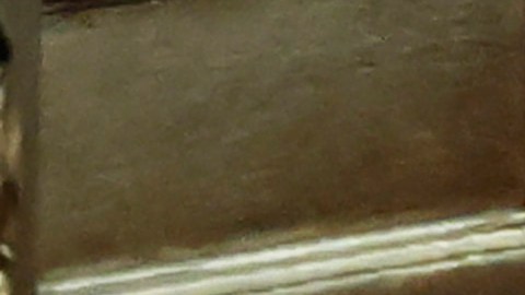 NEW YORK, NEW YORK - NOVEMBER 06: Former President Donald Trump exits the courtroom after testifying at his civil fraud trial at New York State Supreme Court on November 06, 2023 in New York City. Trump is scheduled to testify in the civil fraud trial that alleges that he and his two sons Donald Trump Jr. and Eric Trump conspired to inflate his net worth on financial statements provided to banks and insurers to secure loans. New York Attorney General Letitia James has sued seeking $250 million in damages. His sons testified in the trial last week and his daughter Ivanka Trump is scheduled to testify on Wednesday after her lawyers were unable to block her testimony. (Photo by Michael M. Santiago/Getty Images)