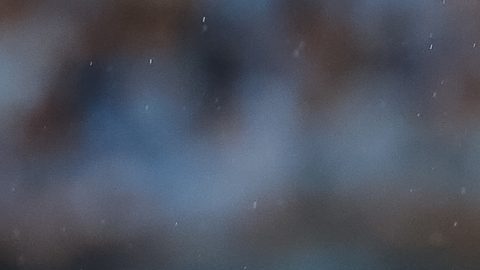 Ferreira tiene 25 goles en Gremio.