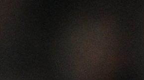 Jugadores del Shakhtar Donestk celebra el gol con el que vencieron al FC Barcelona.