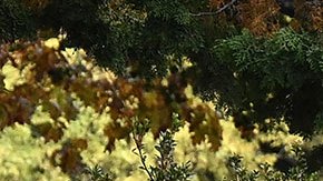 China tacha a Joe Biden de "irresponsable" por llamar nuevamente "dictador" a Xi Jinping