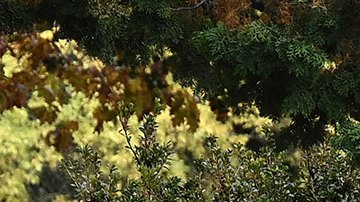 China tacha a Joe Biden de "irresponsable" por llamar nuevamente "dictador" a Xi Jinping