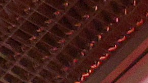 David Benavídez está listo para enfrentar a Demetrius Andrade.