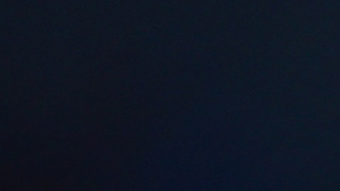 Vega está valorado en poco más de $7 millones de dólares.