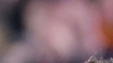 Luis Díaz ingresó al juego contra el Brentford en el minuto 83.