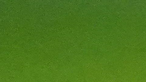 Gavi sufrió una rotura completa del ligamento cruzado de la rodilla derecha.