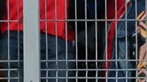 Jugadores de Panamá celebran un gol en el partido contra Costa Rica.