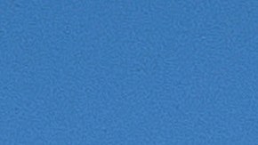 Autoridades alertan de misteriosa enfermedad y potencialmente mortal para perros en varios estados