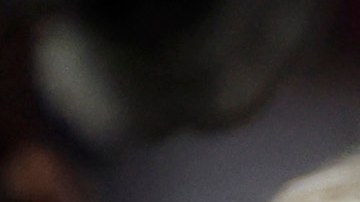 Los exámenes médicos indicaron que no tiene ninguna lesión en el cuello y la cabeza.