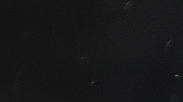 Uruguay goleó a Bolivia en la sexta jornada de las eliminatorias sudamericanas.