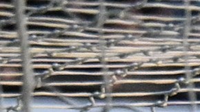 Manchester City se mantiene en la punta a pesar del empate.